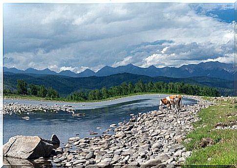 Tunkinsky National Park, Russia.