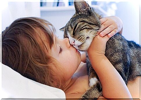 6 Signs That Show Your Cat Likes You