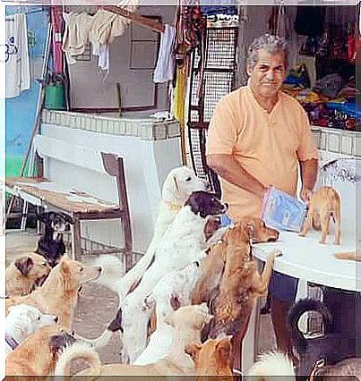 Alberto with dogs