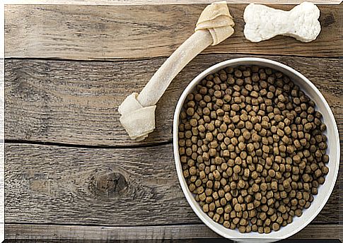 bowl with feed and bone