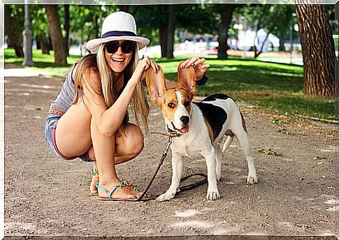 Ter um cachorro pode colaborar para sua saúde cardiovascular