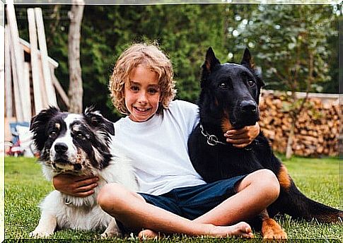 Children and dogs: each age has a responsibility