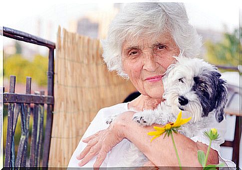 elderly with dog