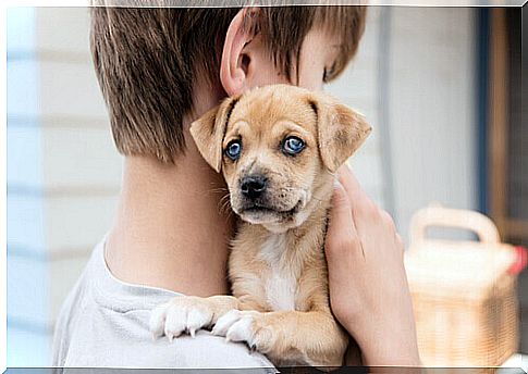 boy with puppy