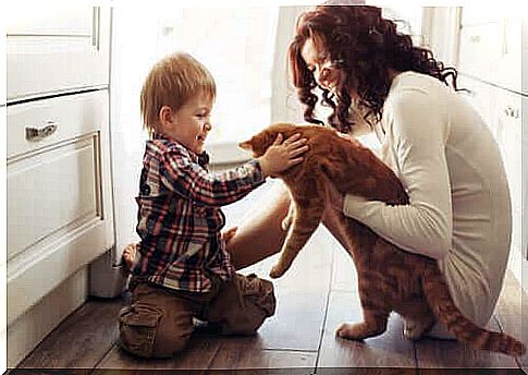 Influence of pets on human life