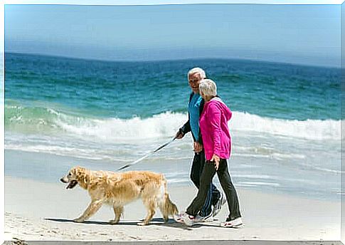 Casal de idosos passeando com cachorro na praia