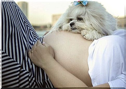 pregnant woman with dog