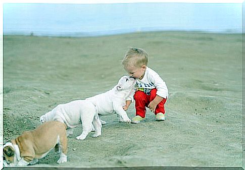 baby with puppies