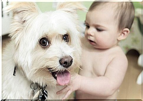 baby with dog