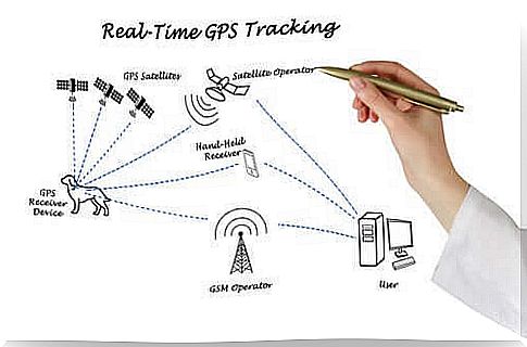 GPS Trackers for Dogs