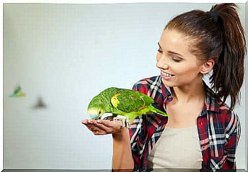 The Incredible Cognitive Skills of Parrots