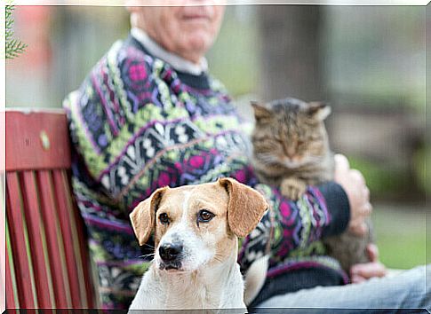 Benefits of Pets for Seniors