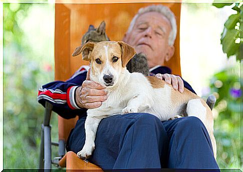 Senior man with his dog