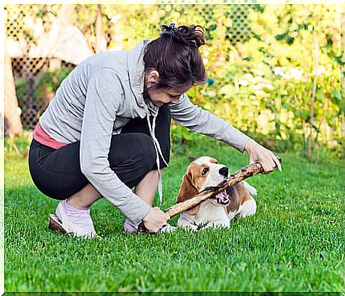 woman playing with dog