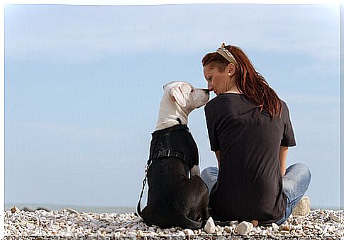 Scientists confirm that kissing your dog is good for your health