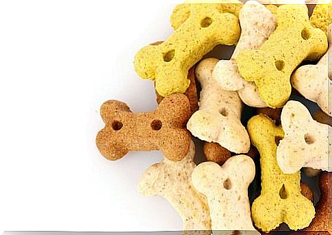 Harmful Snacks for Dogs