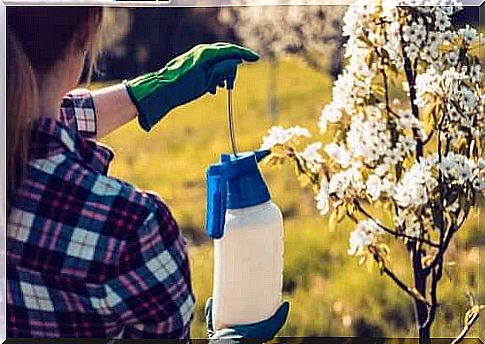 Use of pesticides in the garden