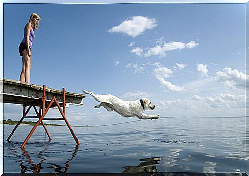 Como acostumar seu cachorro a não ter medo de água