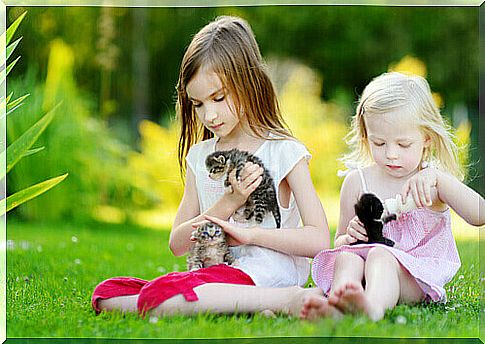 What Does a Pet Teach Your Children