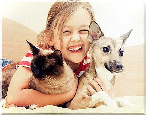 child hugging cat and dog