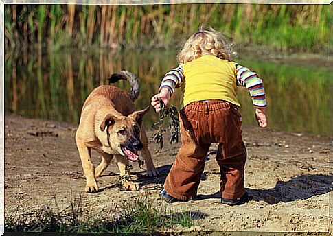 What to do if my child is afraid of dogs