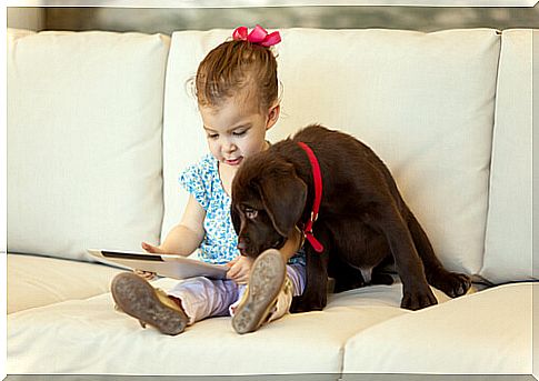 Children who grow up with animals