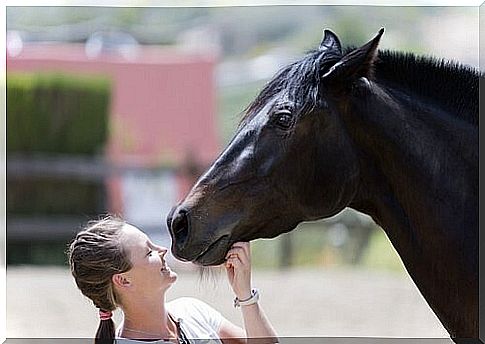 girl with horse